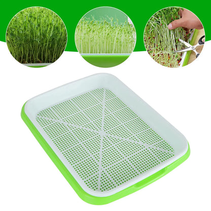 Seed Tray: Microgreens Sprouter Tray - Hydroponic Garden Starter Kit