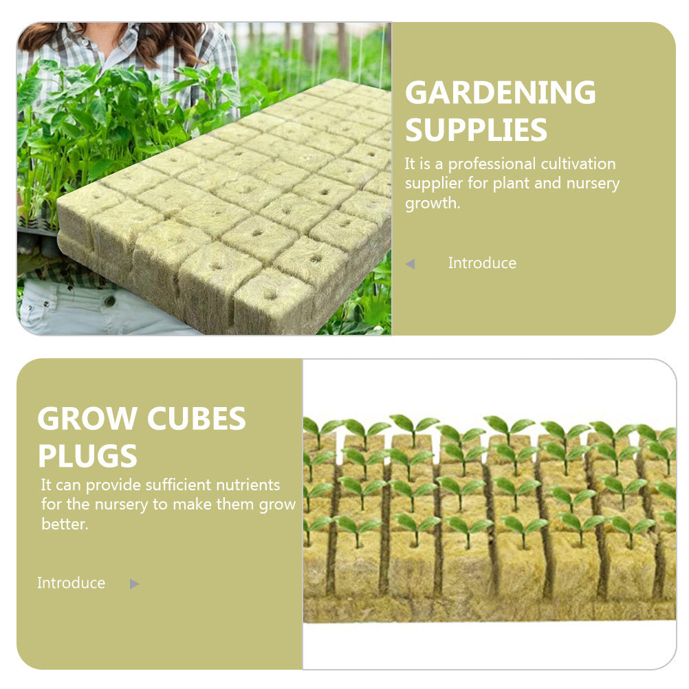 Seed Tray: Seed Starter Plugs - 50pcs Compressed Soil Cubes for Germination