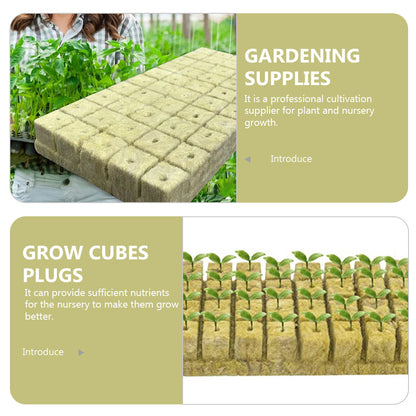 Seed Tray: Seed Starter Plugs - 50pcs Compressed Soil Cubes for Germination