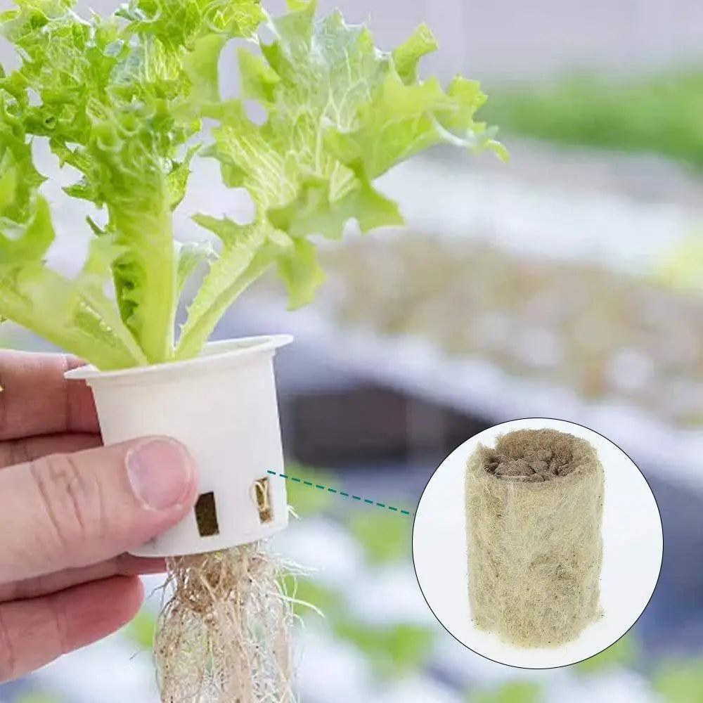 50PCS 27*20mm Size Hydroponic Seedling Block Hydroponic Substrate Garden Sponge Rock Wool Plug Seedling Medium Cultivation Plug