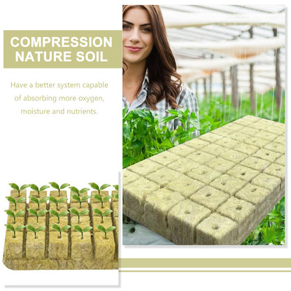 Seed Tray: Seed Starter Plugs - 50pcs Compressed Soil Cubes for Germination