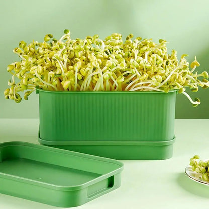 Seed Tray Garden Hydroponic Peanut Sprouting Planting Soilless Box Pot Mini Germination Greenhouse Germination Kits K5N7