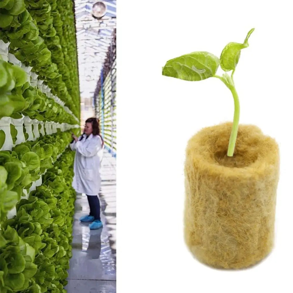 50PCS 27*20mm Size Hydroponic Seedling Block Hydroponic Substrate Garden Sponge Rock Wool Plug Seedling Medium Cultivation Plug