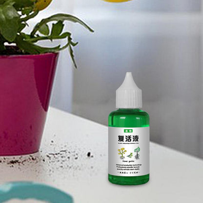 Plant Fertilizer - Flower & Veggie Liquid Boost Growth & Revive Plants 