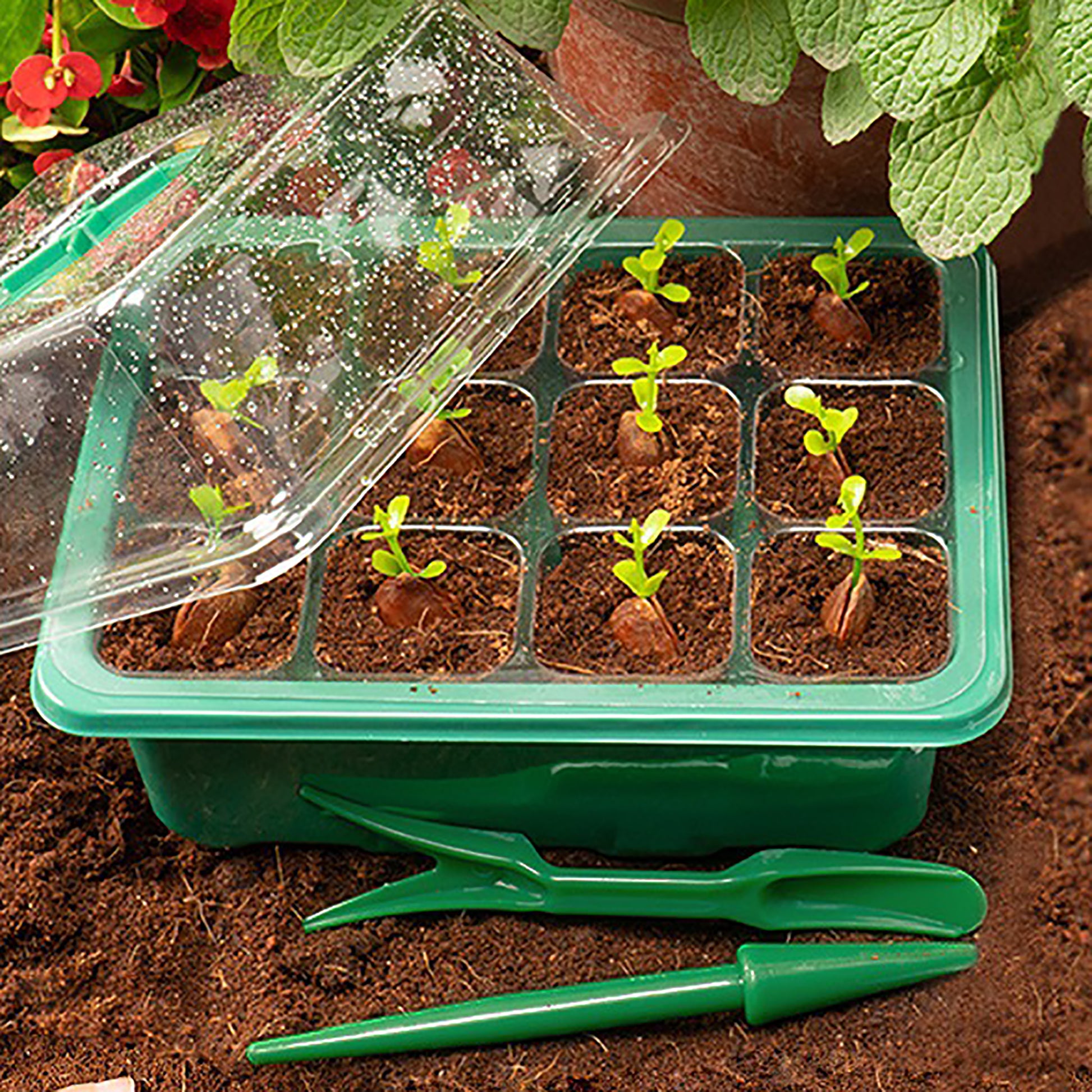 LED Grow Light for Seedling Trays & Flower Pots