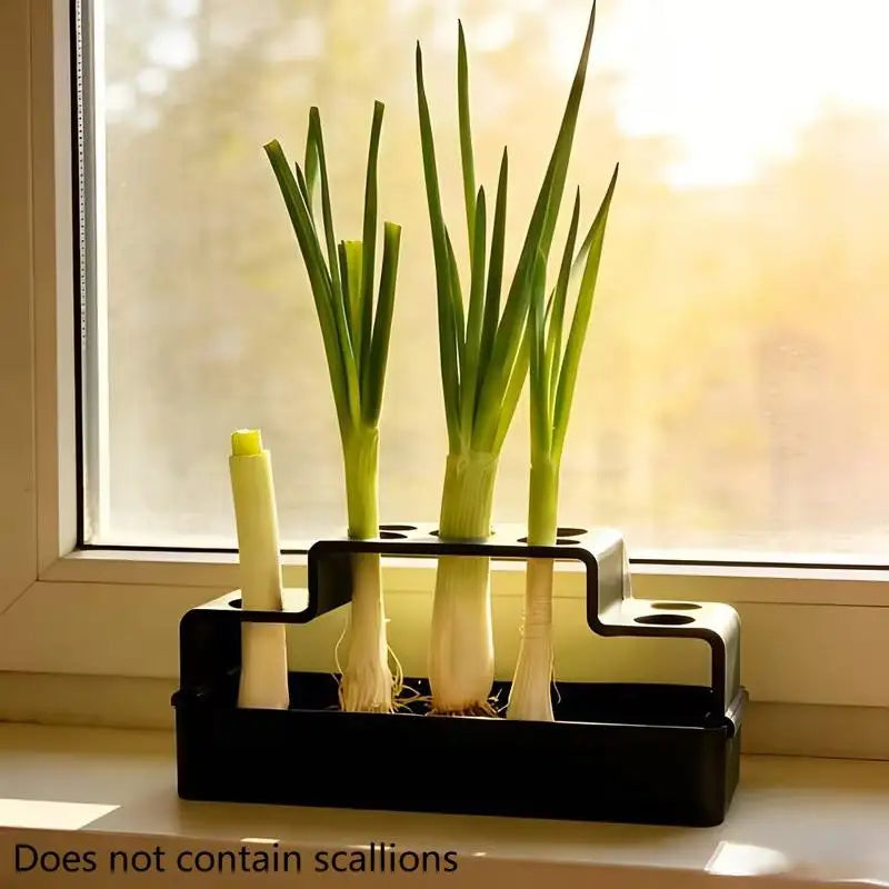 Hydroponic Scallion Growing Device EnergySaving Indoor Green Onion Growing Kit for Home and Office Decor