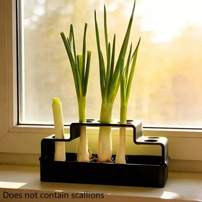 Hydroponic Scallion Growing Device EnergySaving Indoor Green Onion Growing Kit for Home and Office Decor
