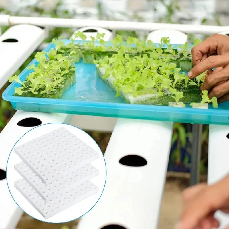 100Pcs Sponge Squares for Hydroponics Hydroponic Sponge Planting Tool Household Greenhouse Hydroponic Sponge Square Sponges