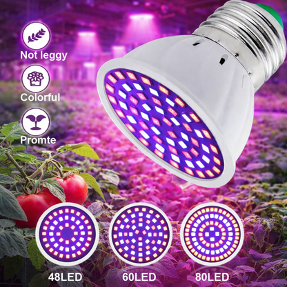 LED Grow Light Bulb E27 Full Spectrum 60/80LED Plant Lamp