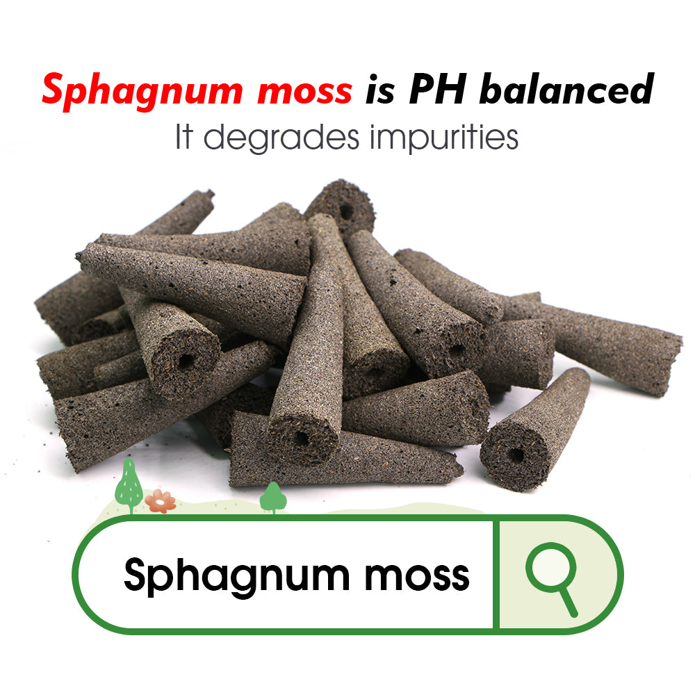 Seed Starter Hydroponic Growing Sponges for Seed Starters & Transplants