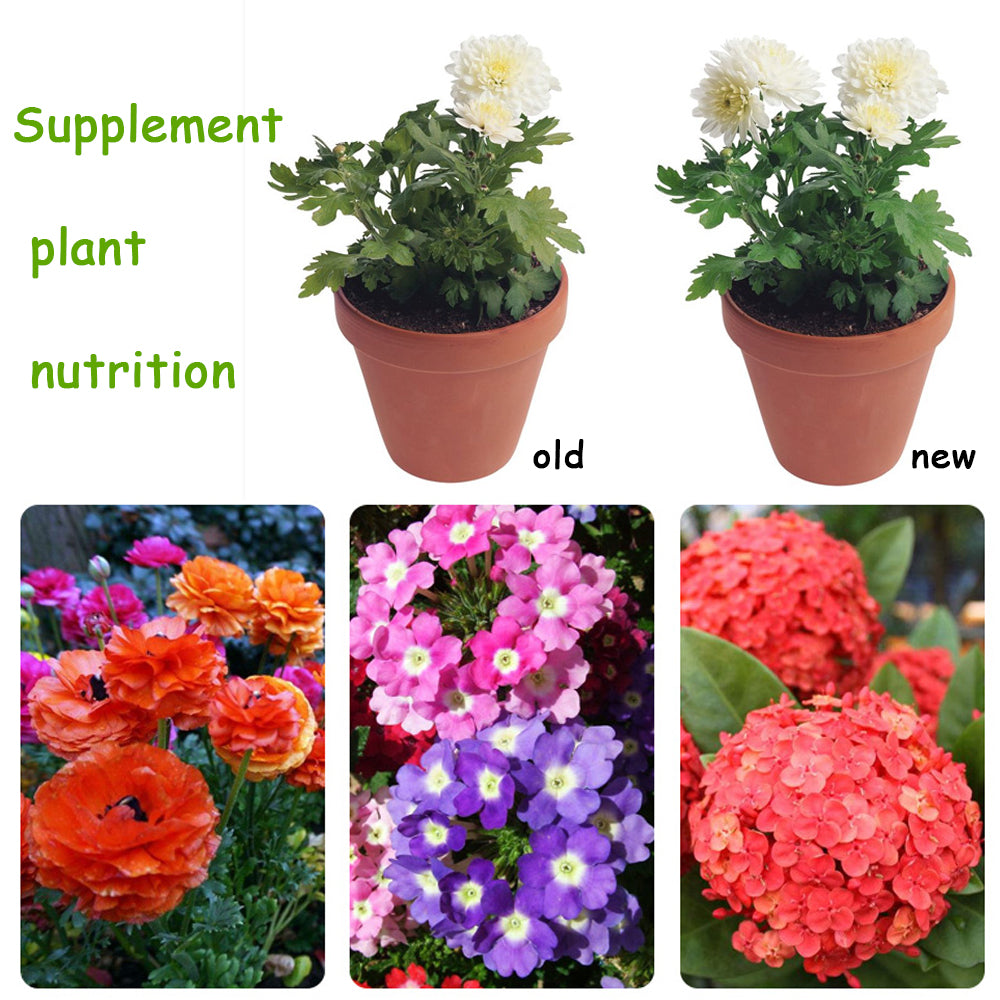 Organic Fertilizer 10G: Safe, Eco-Friendly Plant Food