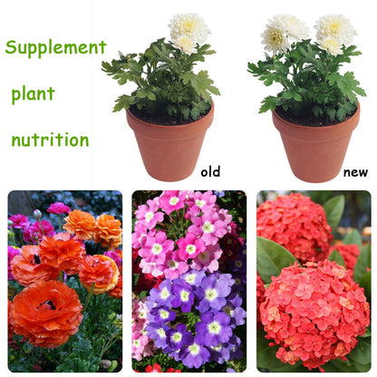 Organic Fertilizer 10G: Safe, Eco-Friendly Plant Food