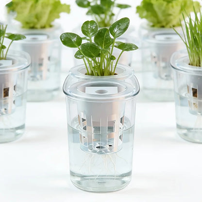 10pcs Hydroponic Seedling Basket Set (Includes 10 Planting Baskets + 10 Seedling Sponges)|Seed Stabilization to Prevent Drifting