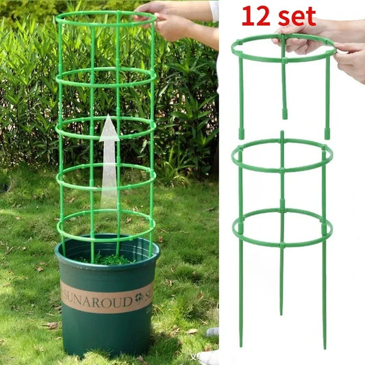 Plant Stakes - 12 Set Half Round Vines & Bonsai Holder