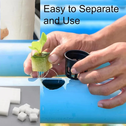 100Pcs Sponge Squares for Hydroponics Hydroponic Sponge Planting Tool Household Greenhouse Hydroponic Sponge Square Sponges