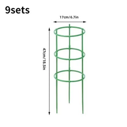 Plant Stakes - 12 Set Half Round Vines & Bonsai Holder