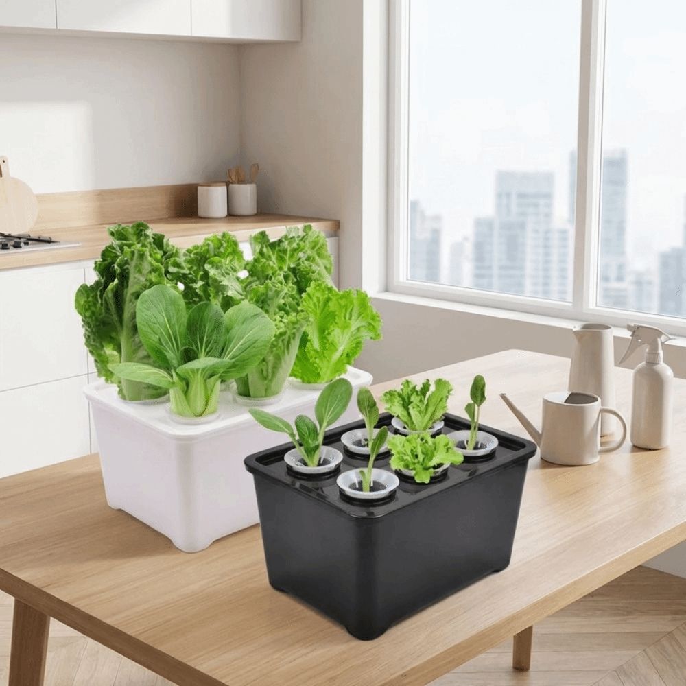 Hydroponic Grower Kit: 6-Hole Self-Watering Seedling Pots