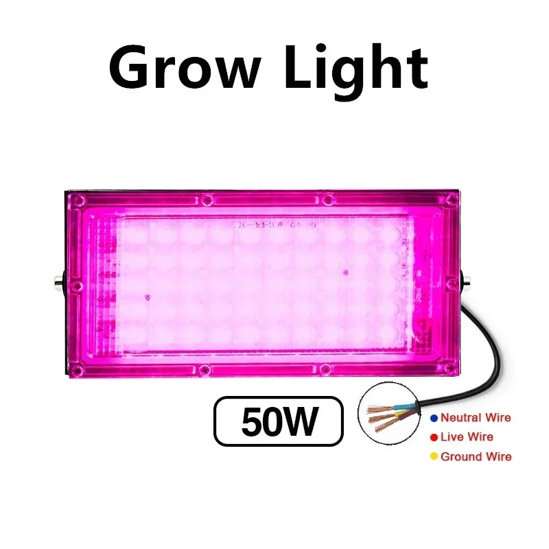 Full Spectrum LED Grow Light Phyto Lamp AC 220V 50W 100W with EU Plug for Greenhouse Hydroponic Plant Growth Floodlight Lighting