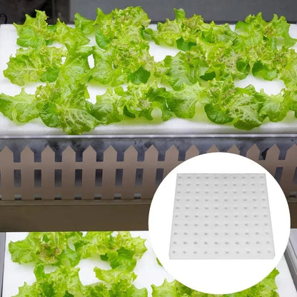 100Pcs Sponge Squares for Hydroponics Hydroponic Sponge Planting Tool Household Greenhouse Hydroponic Sponge Square Sponges