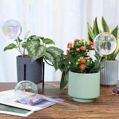 Plant Watering Globes - Rainbow Gradient Auto Bulbs