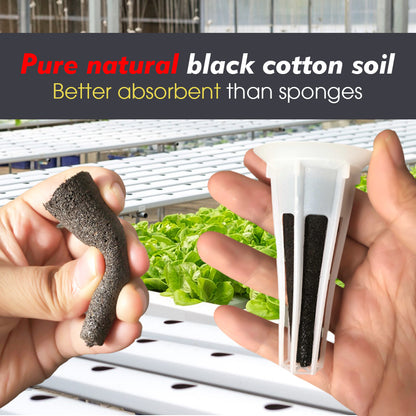 Seed Starter Hydroponic Growing Sponges for Seed Starters & Transplants