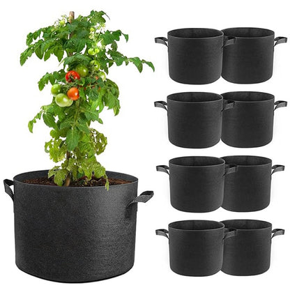 Grow Bags: Felt Planting Bag with Handles for Tomatoes & Potatoes