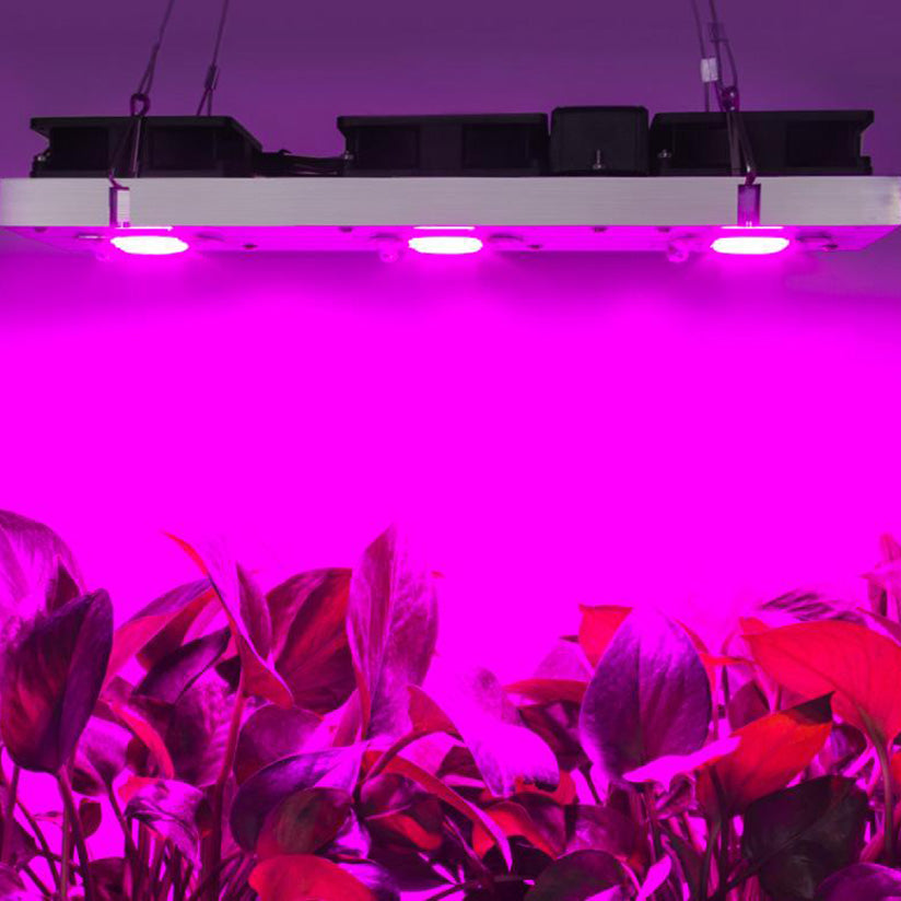 LED Grow Light Full Spectrum COB Chip - No Driver Needed