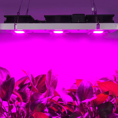 LED Grow Light Full Spectrum COB Chip - No Driver Needed