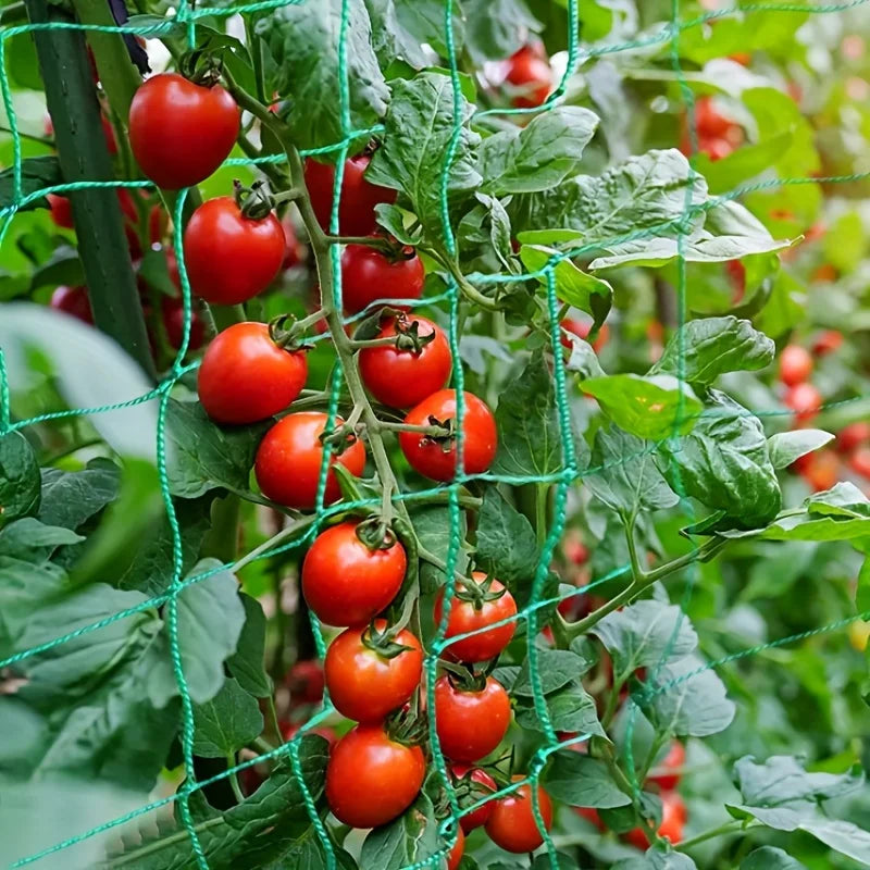 Plant Trellis Pergolas: Heavy-Duty Polyester Grow Net