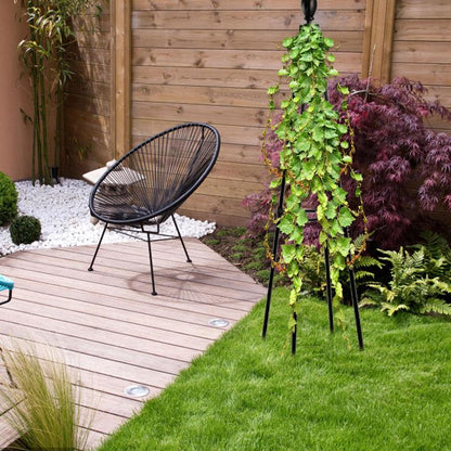 Plant Trellis Support Cages for Vines & Flowers