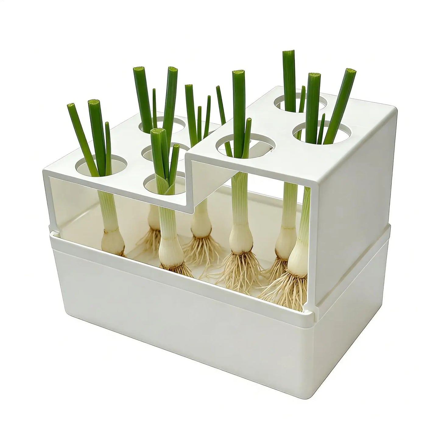 14X7.5X7cm Scallion Regrower Multi-Hole Reusable Leakproof Sprouting Container Hydroponic Planter For Spring Onion Vegetable