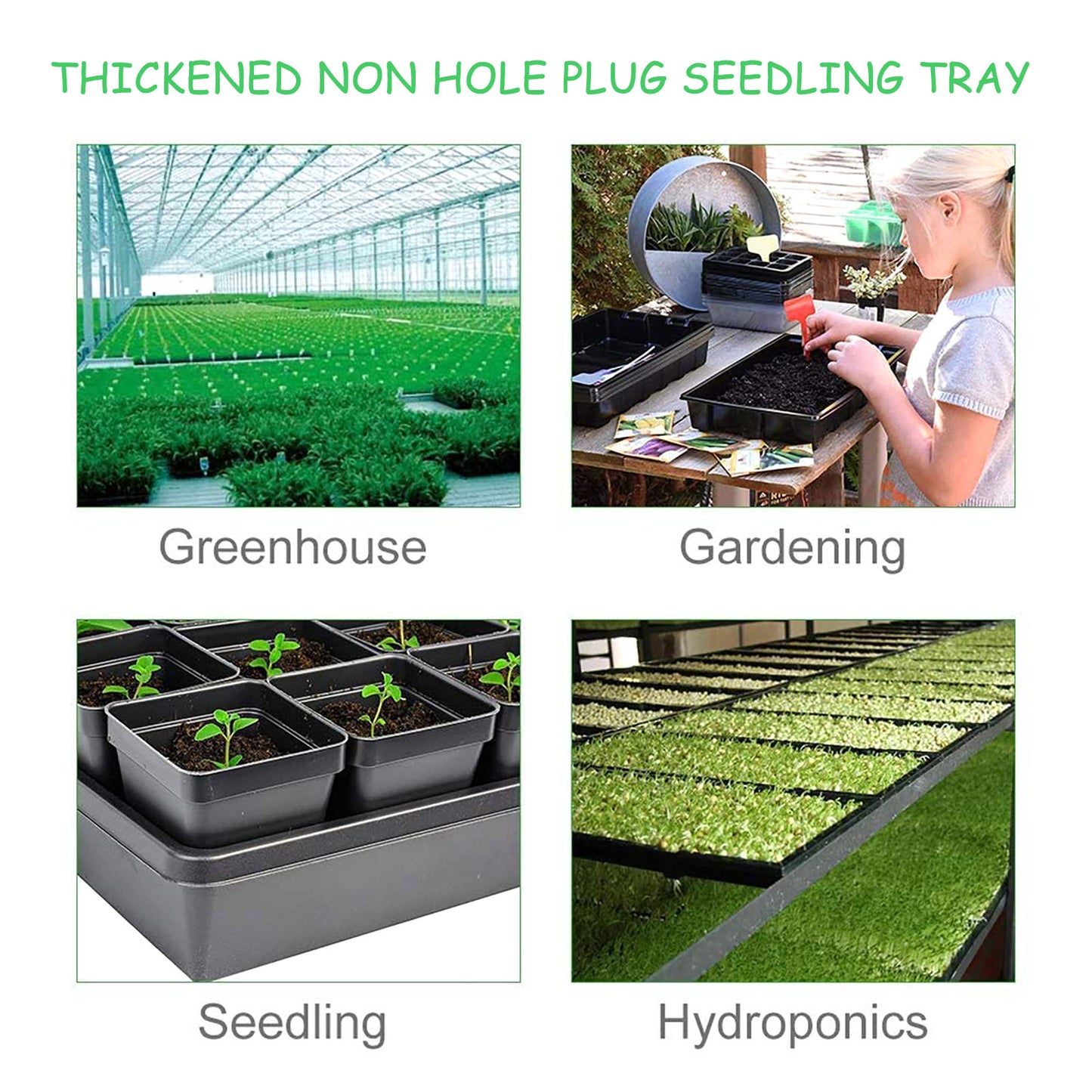 Seed Tray Set: Thickened, No Drain Holes, Indoor Use