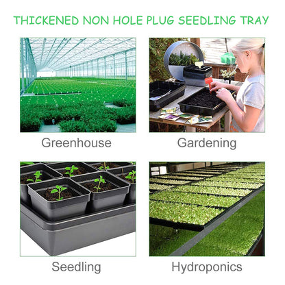 Seed Tray Set: Thickened, No Drain Holes, Indoor Use