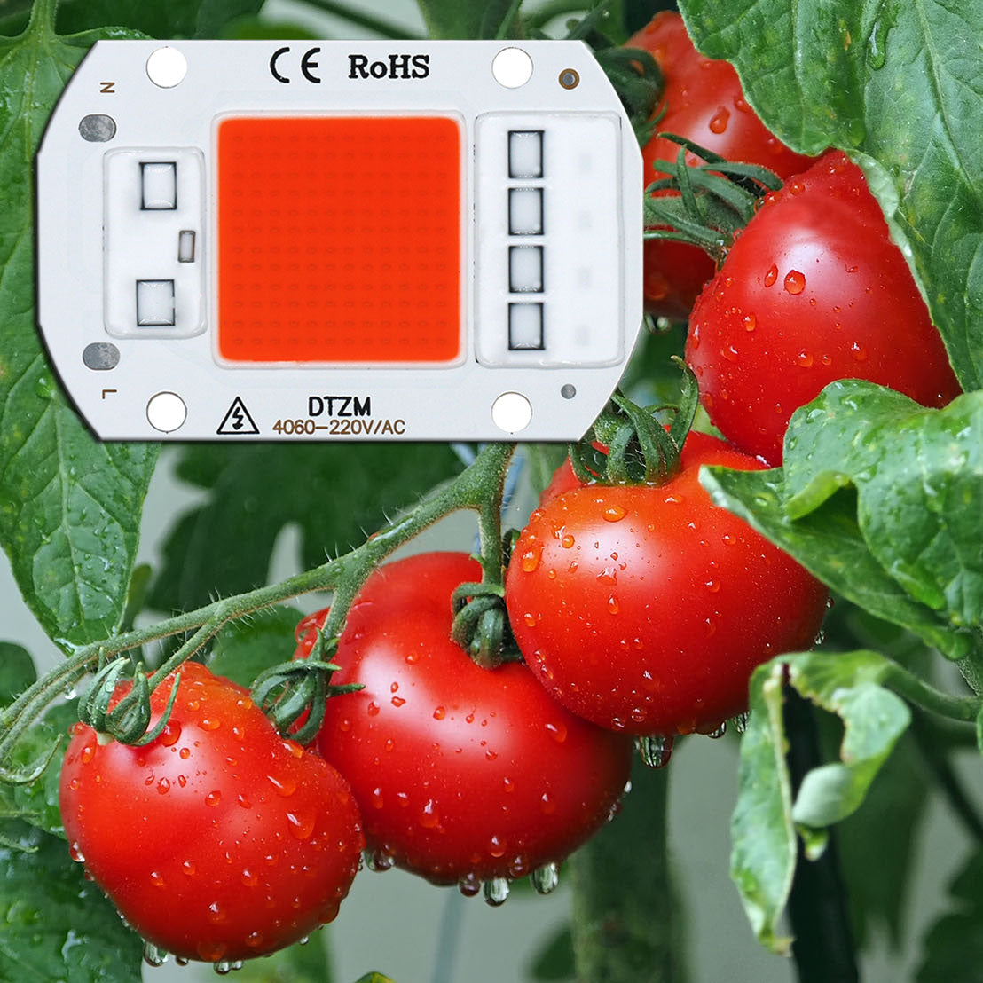 LED Grow Light Full Spectrum COB Chip - No Driver Needed