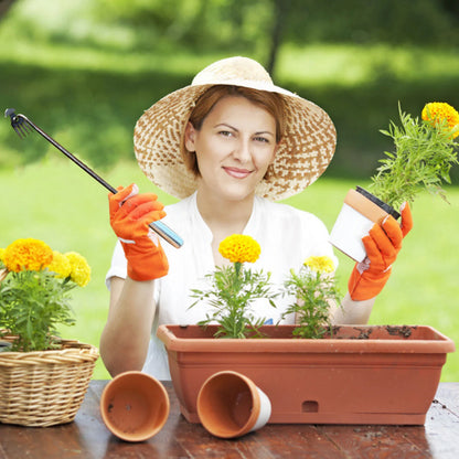 Weed Puller: Hand Weeder Tool - Long Handle Weed Digger for Gardening