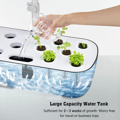 Hydroponic System Kit: 12-Hole Indoor Soilless Grow Box