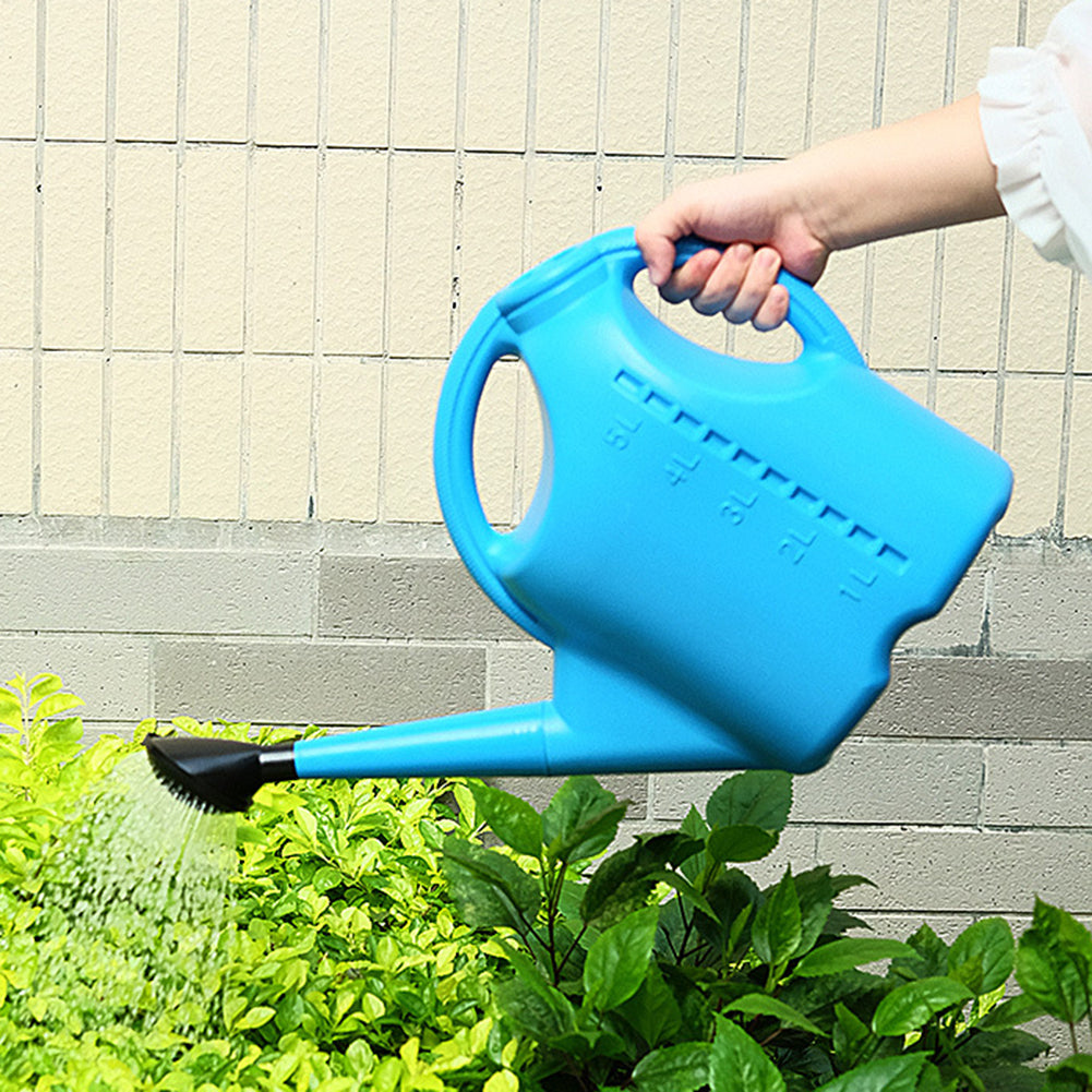 Long Spout Watering Can with Sprinkler Head & Comfort Grip
