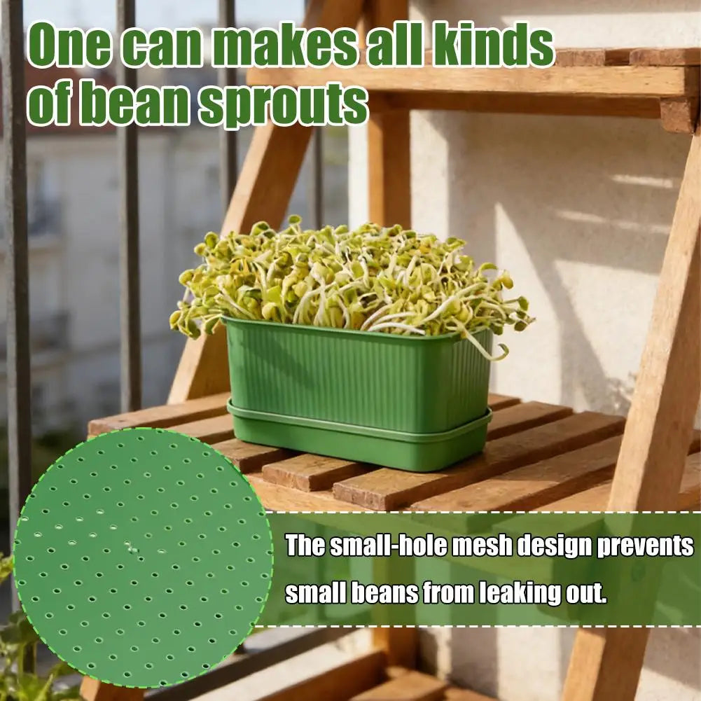 Seed Tray Garden Hydroponic Peanut Sprouting Planting Soilless Box Pot Mini Germination Greenhouse Germination Kits K5N7