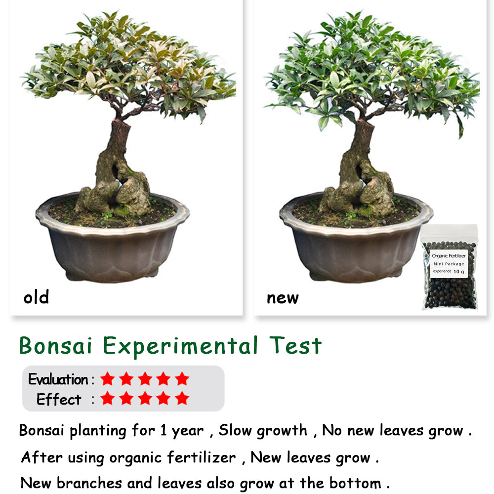 Organic Fertilizer 10G: Safe, Eco-Friendly Plant Food