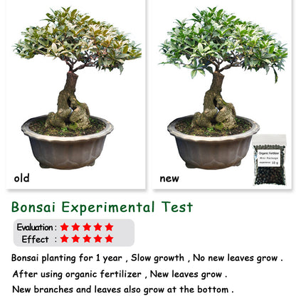 Organic Fertilizer 10G: Safe, Eco-Friendly Plant Food