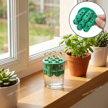 Hydroponic Plant Growing Lid Water Culture Planter Cup Holder Seed Germination Tray For Glass Cup Seedling Cultivation