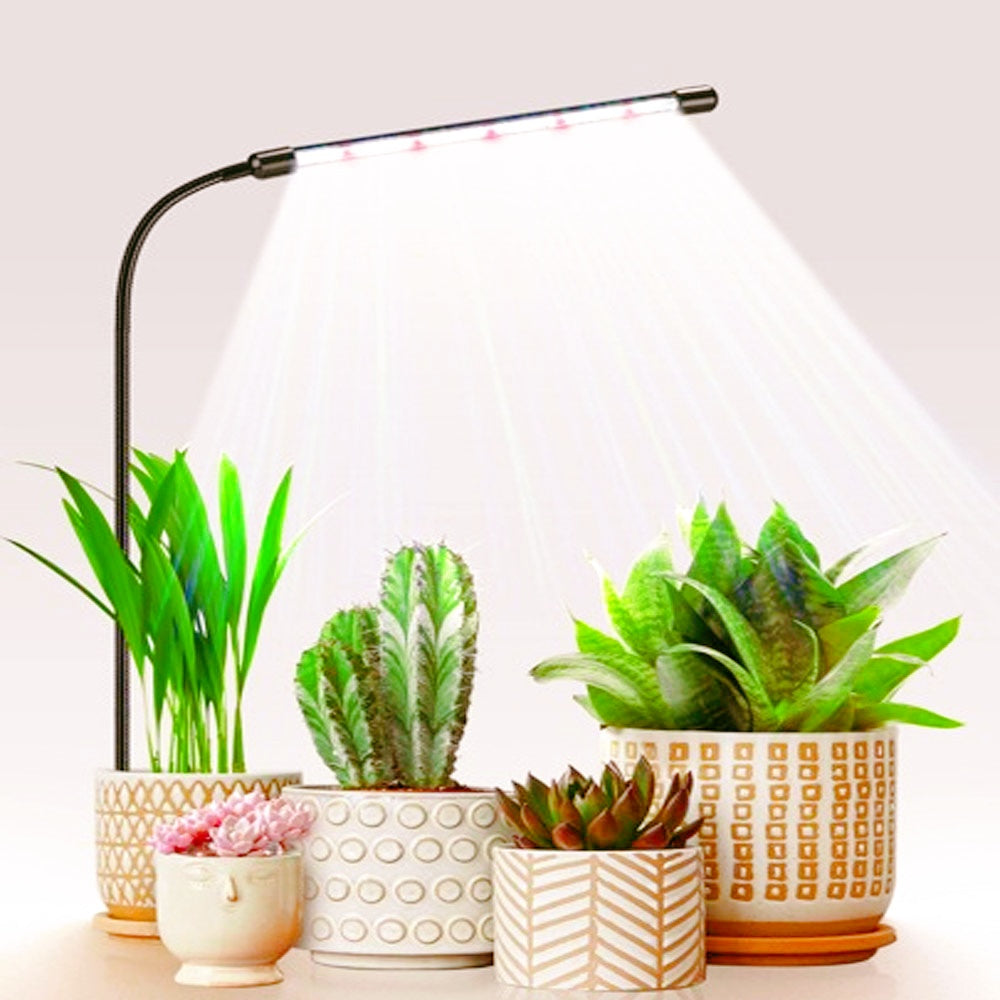 Full-Spectrum Grow Bulb Plant Lamp with USB Timer for Indoor Greening