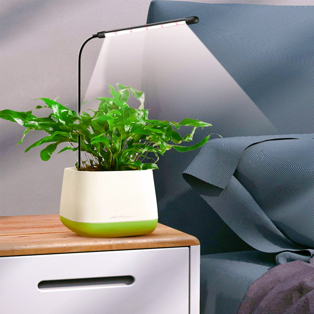 Full-Spectrum Grow Bulb Plant Lamp with USB Timer for Indoor Greening
