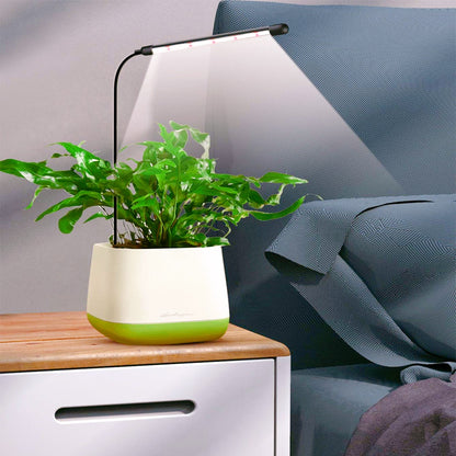 Full-Spectrum Grow Bulb Plant Lamp with USB Timer for Indoor Greening