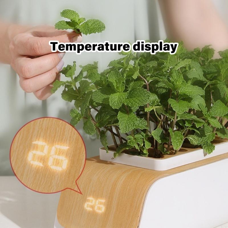 Hydroponic Plant System with Full Spectrum LED Lights