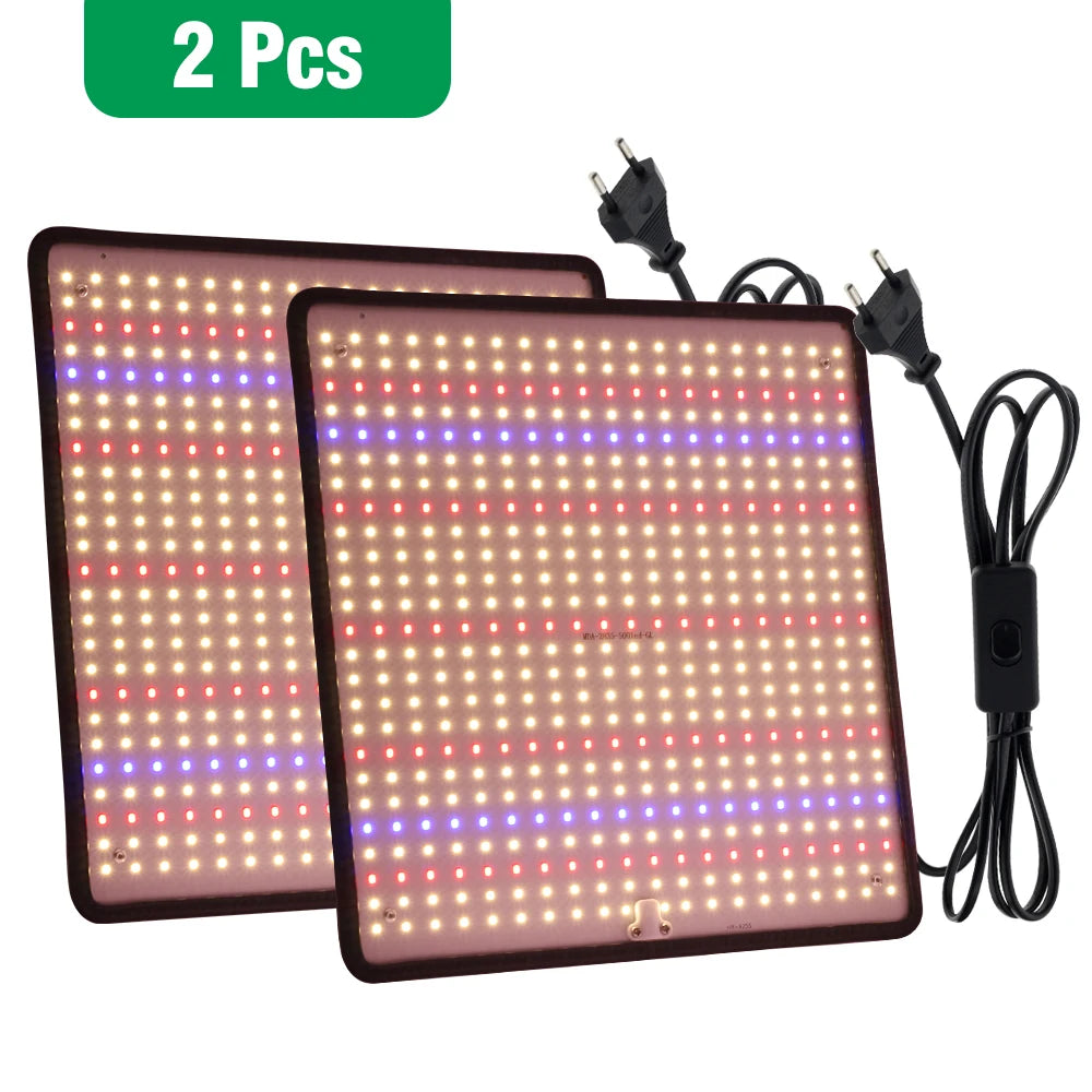 2pcs