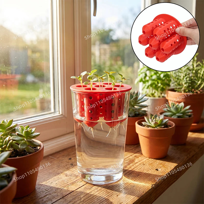 Hydroponic Plant Growing Lid Water Culture Planter Cup Holder Seed Germination Tray For Glass Cup Seedling Cultivation