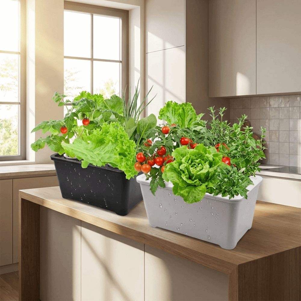 Hydroponic Grower Kit: 6-Hole Self-Watering Seedling Pots