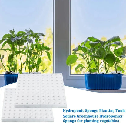 100Pcs Sponge Squares for Hydroponics Hydroponic Sponge Planting Tool Household Greenhouse Hydroponic Sponge Square Sponges
