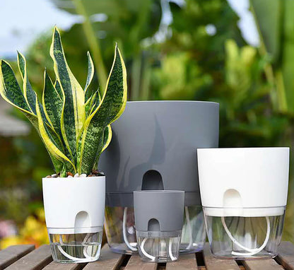8.2cm Hydroponic Pot Self Watering Flower Pot Liquid Farming Soilless Cultivation Planter Cotton Rope Watering